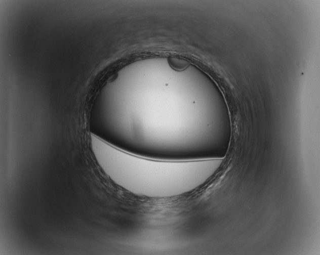 X0000090491494200707130920