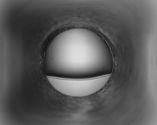 X0000090491495200707130920