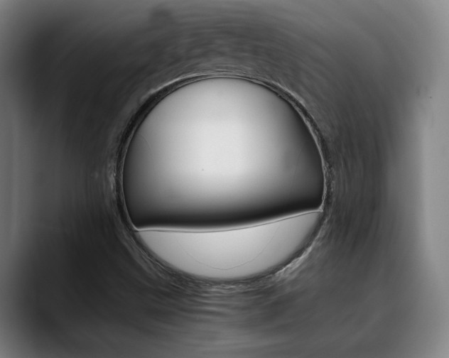 X0000090491499200707130921
