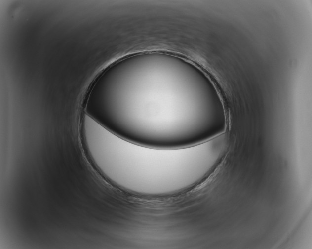 X0000090491500200707130921