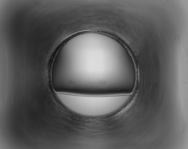 X0000090491501200707130921