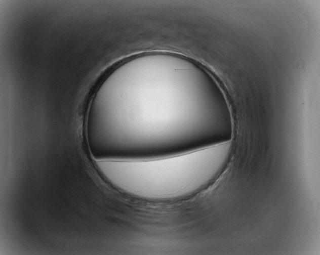X0000090491503200707130921