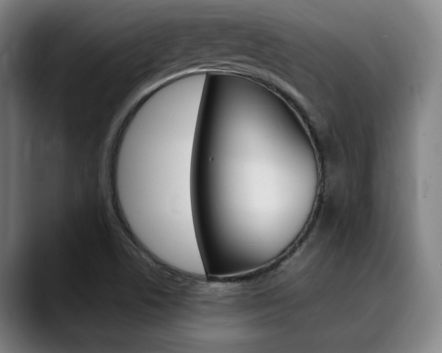 X0000090491506200707130921