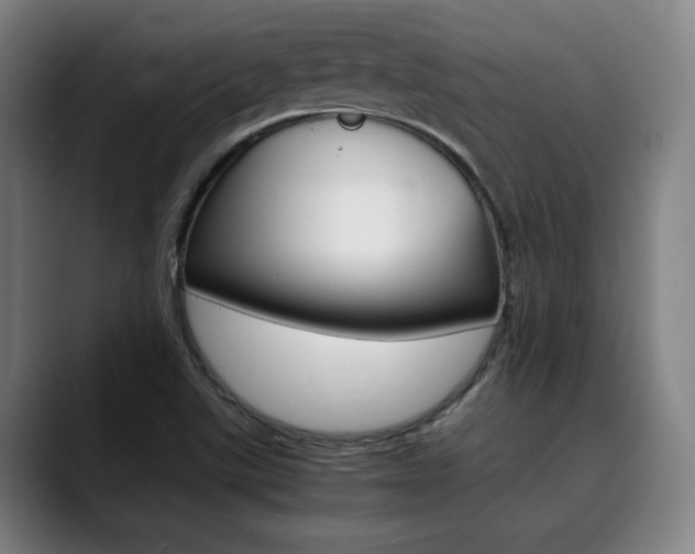 X0000090491507200707130921