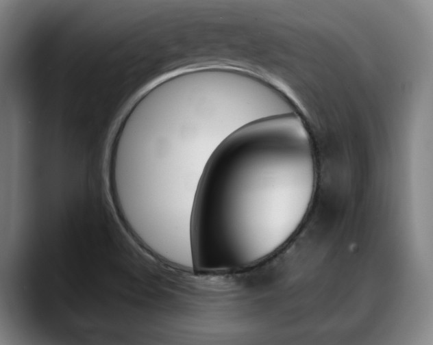 X0000090491508200707130921