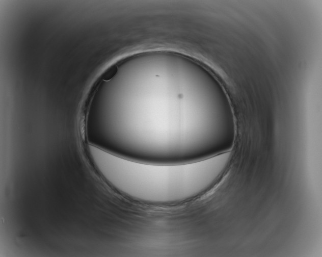 X0000090491510200707130921