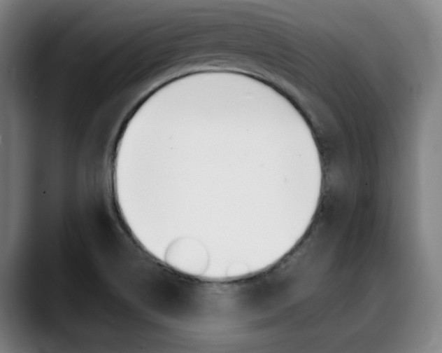 X0000090491514200707130921
