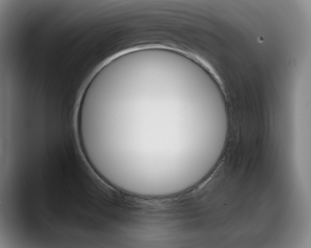 X0000090491516200707130921