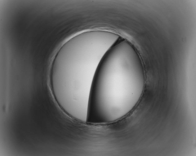 X0000090491520200707130921