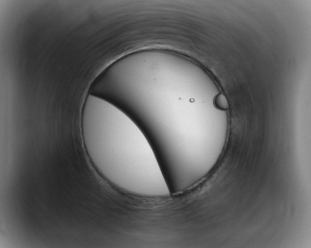 X0000090491521200707130921
