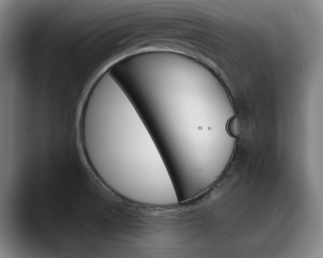 X0000090491522200707130921