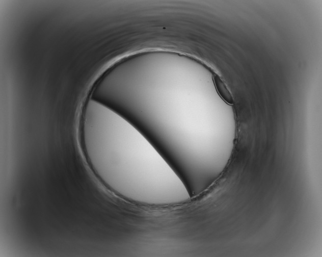 X0000090491523200707130921