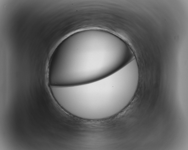 X0000090491524200707130921