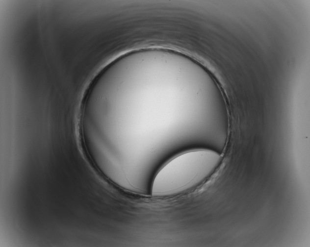 X0000090491525200707130921