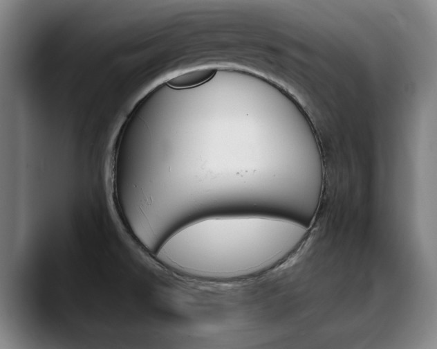 X0000090491526200707130921