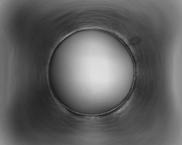 X0000090491529200707130921