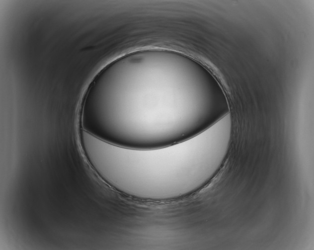 X0000090491530200707130921