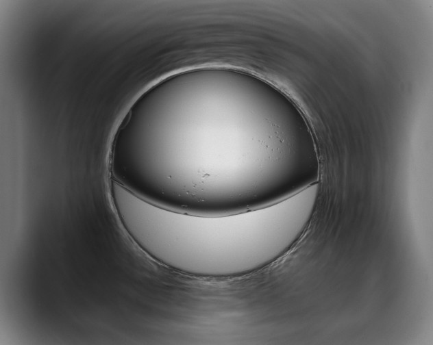 X0000090491532200707130921