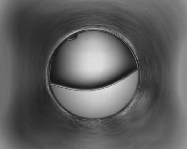 X0000090491533200707130921