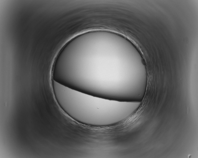 X0000090491535200707130921
