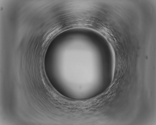 X0000090490001200707131339