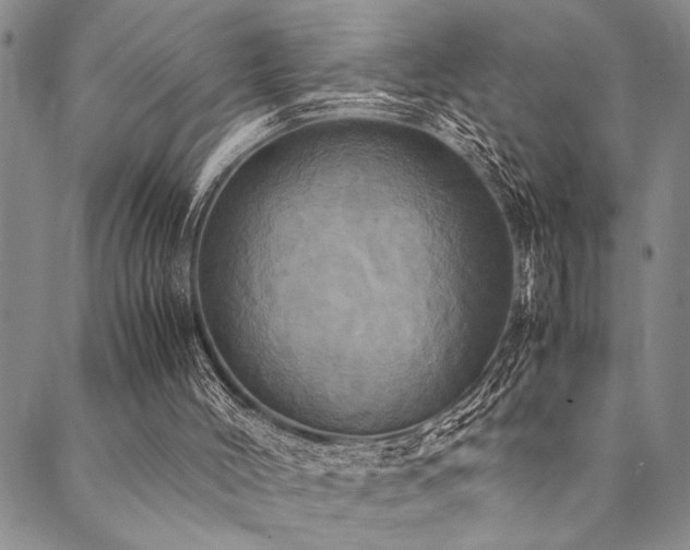 X0000090490004200707131339
