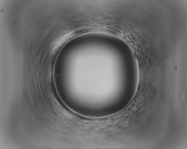 X0000090490005200707131339