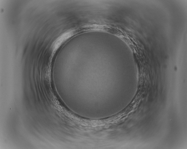 X0000090490006200707131339