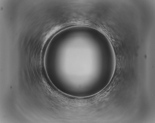 X0000090490008200707131339
