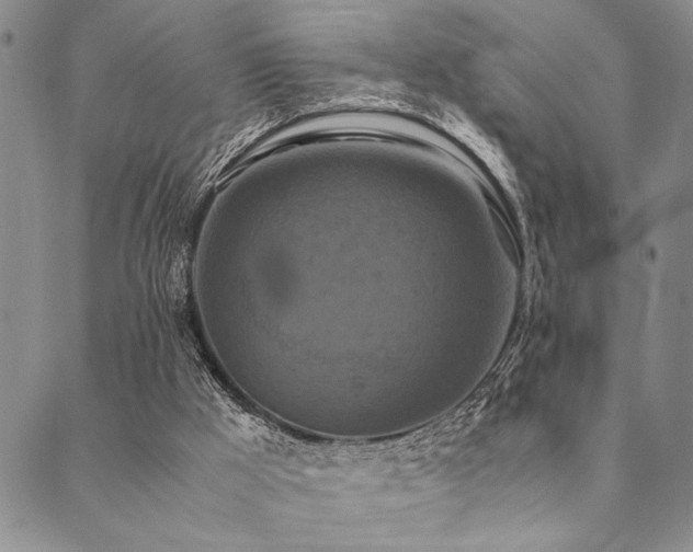 X0000090490009200707131339