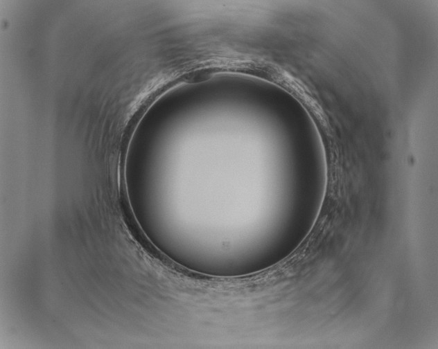 X0000090490011200707131339