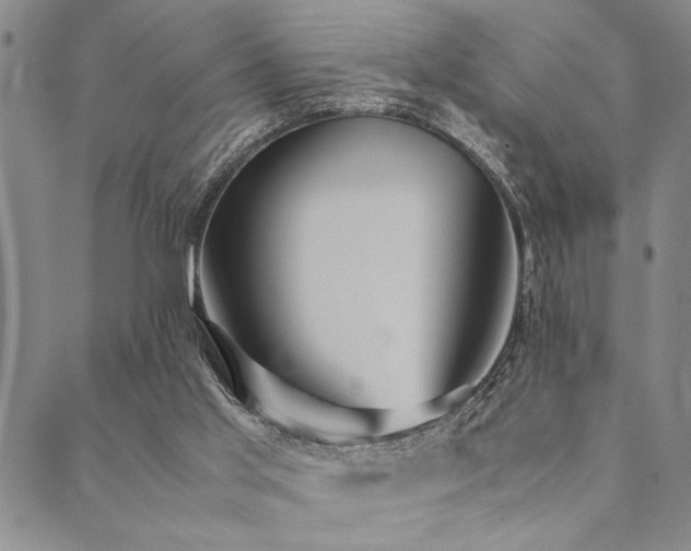 X0000090490013200707131338