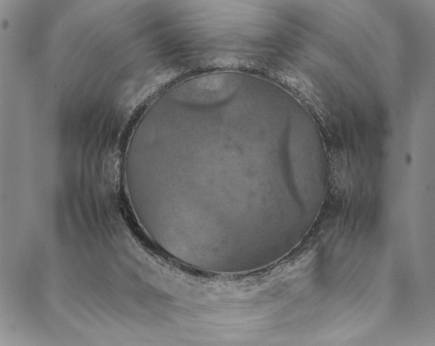 X0000090490016200707131338
