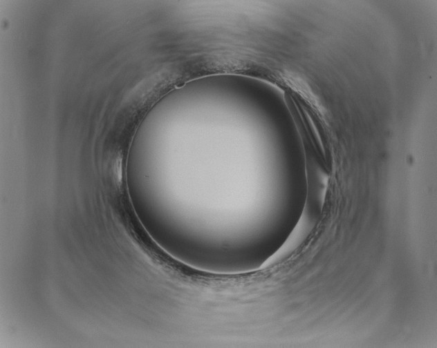X0000090490021200707131338