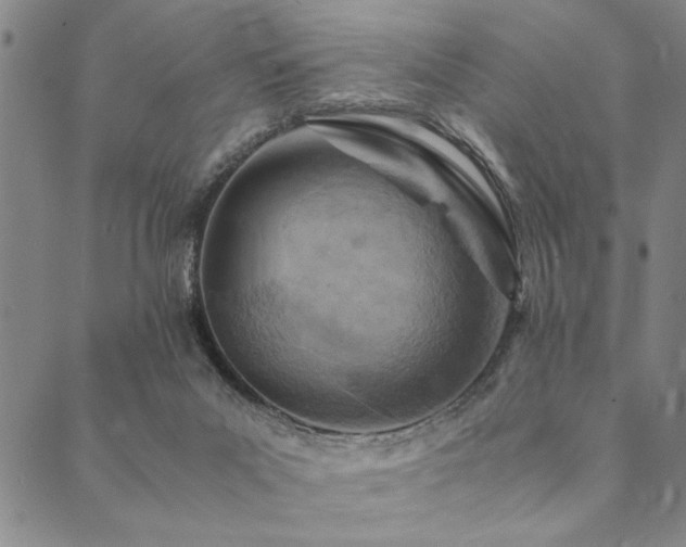 X0000090490023200707131338