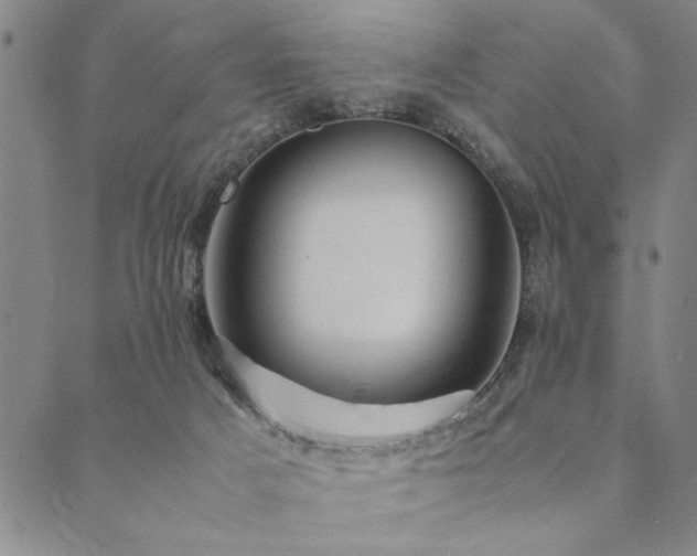 X0000090490025200707131338