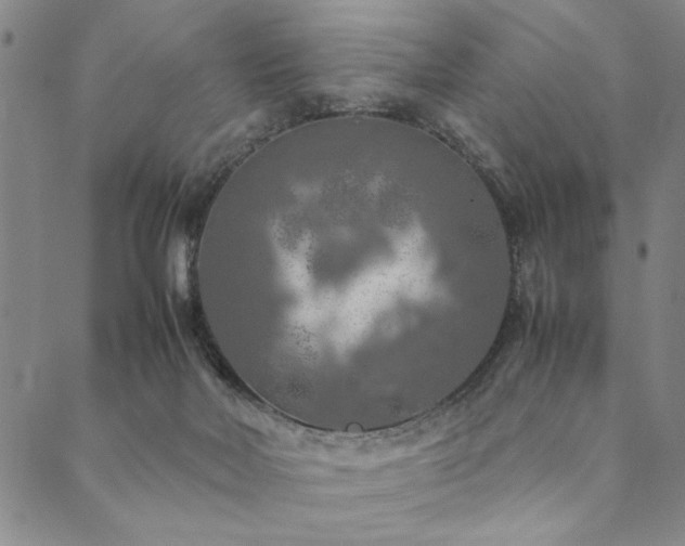 X0000090490026200707131338
