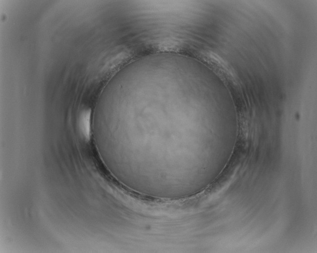 X0000090490028200707131338