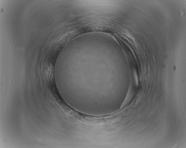 X0000090490029200707131338