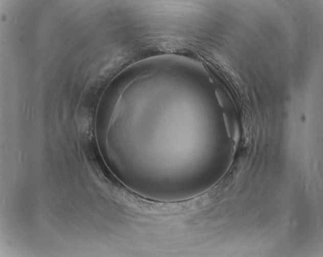 X0000090490031200707131338