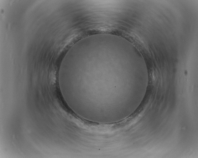 X0000090490032200707131338