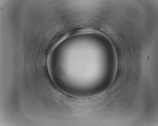 X0000090490037200707131338