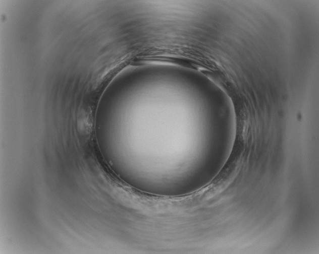 X0000090490040200707131338