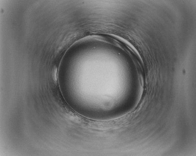 X0000090490041200707131338