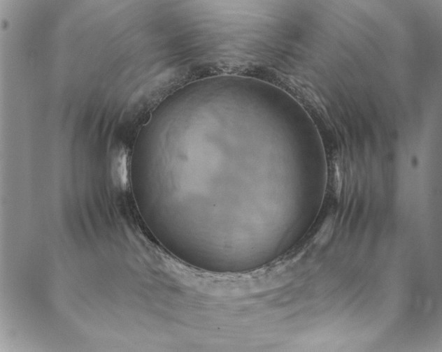 X0000090490042200707131338