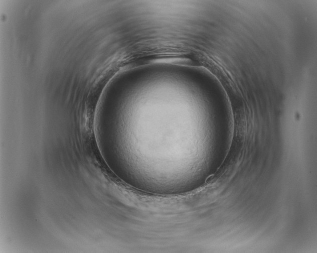 X0000090490044200707131338