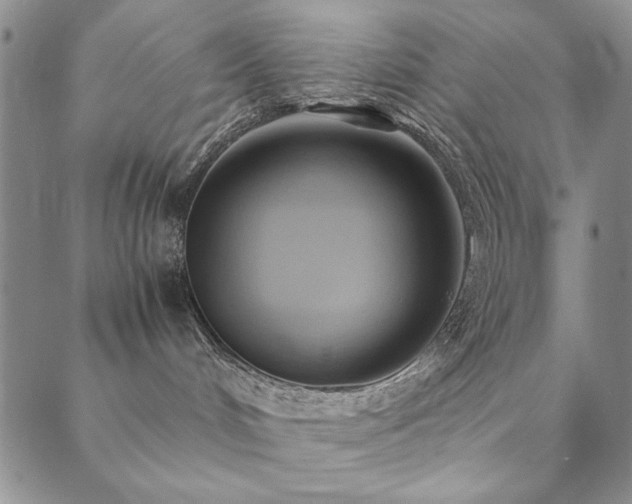 X0000090490048200707131338