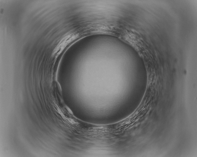 X0000090490050200707131337