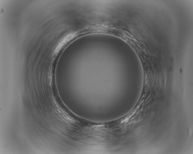 X0000090490054200707131337