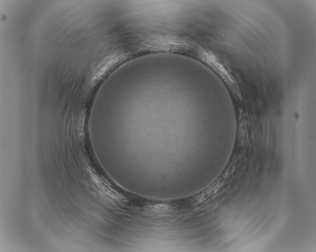 X0000090490058200707131337